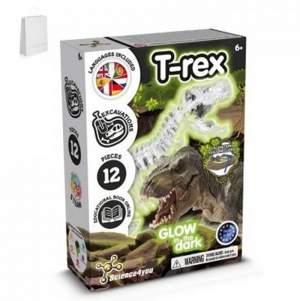 Fossil Excavation Kit II. Jogo did�tico fornecido com saco de oferta em papel kraft (90 g/m�)