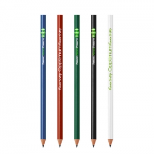 BIC� EVOLUTION CLASSIC CUT ECOLUTIONS� L�PIS IMPRESS�O 1 COR