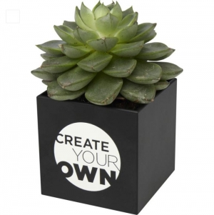 Vaso de alumnio com plantas, suculenta 'Hey Pots'