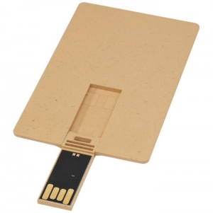 USB retangular biodegradvel em forma de carto de crdito