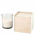 ENVIROMENT CANDLE