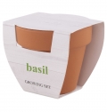 BASIL FLOWERPOT