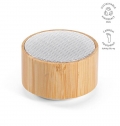 Einstein Speaker