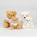 Urso de peluche com t-shirt